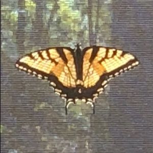 Meet your Posher, Gail